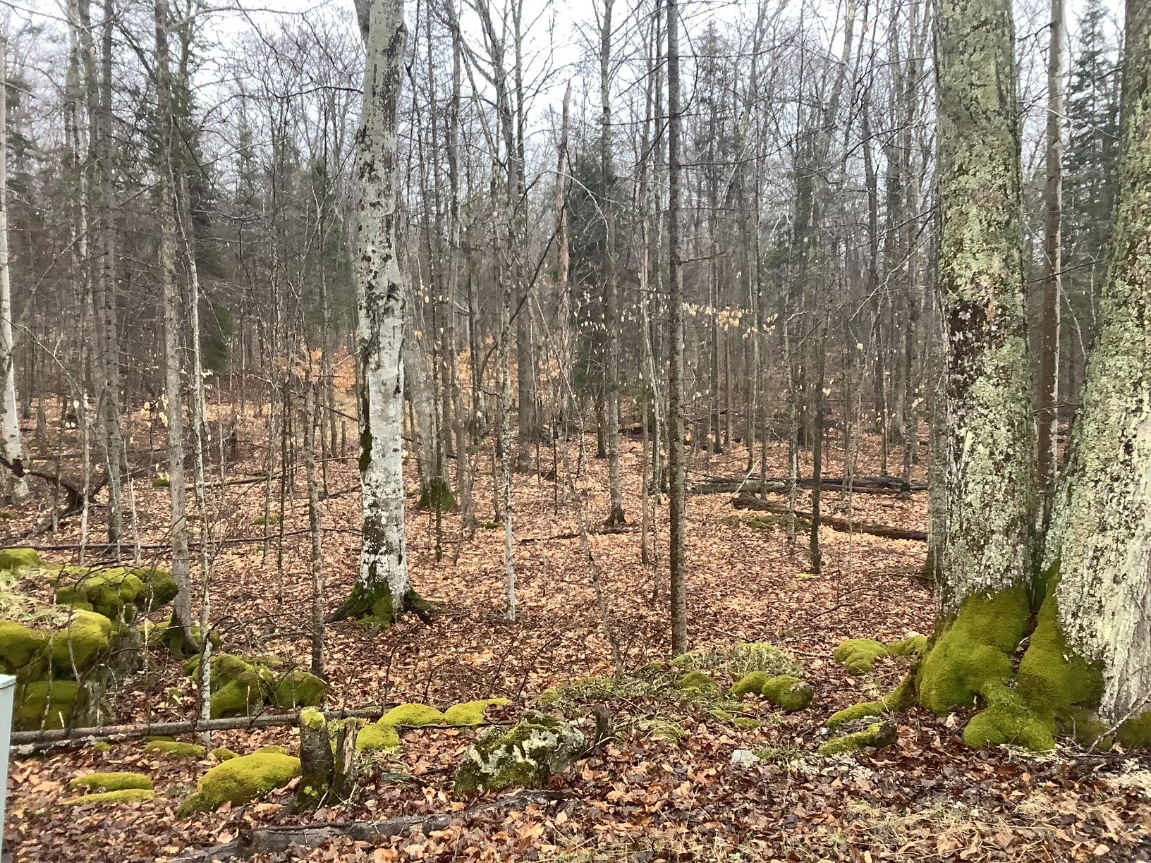 image4.jpeg