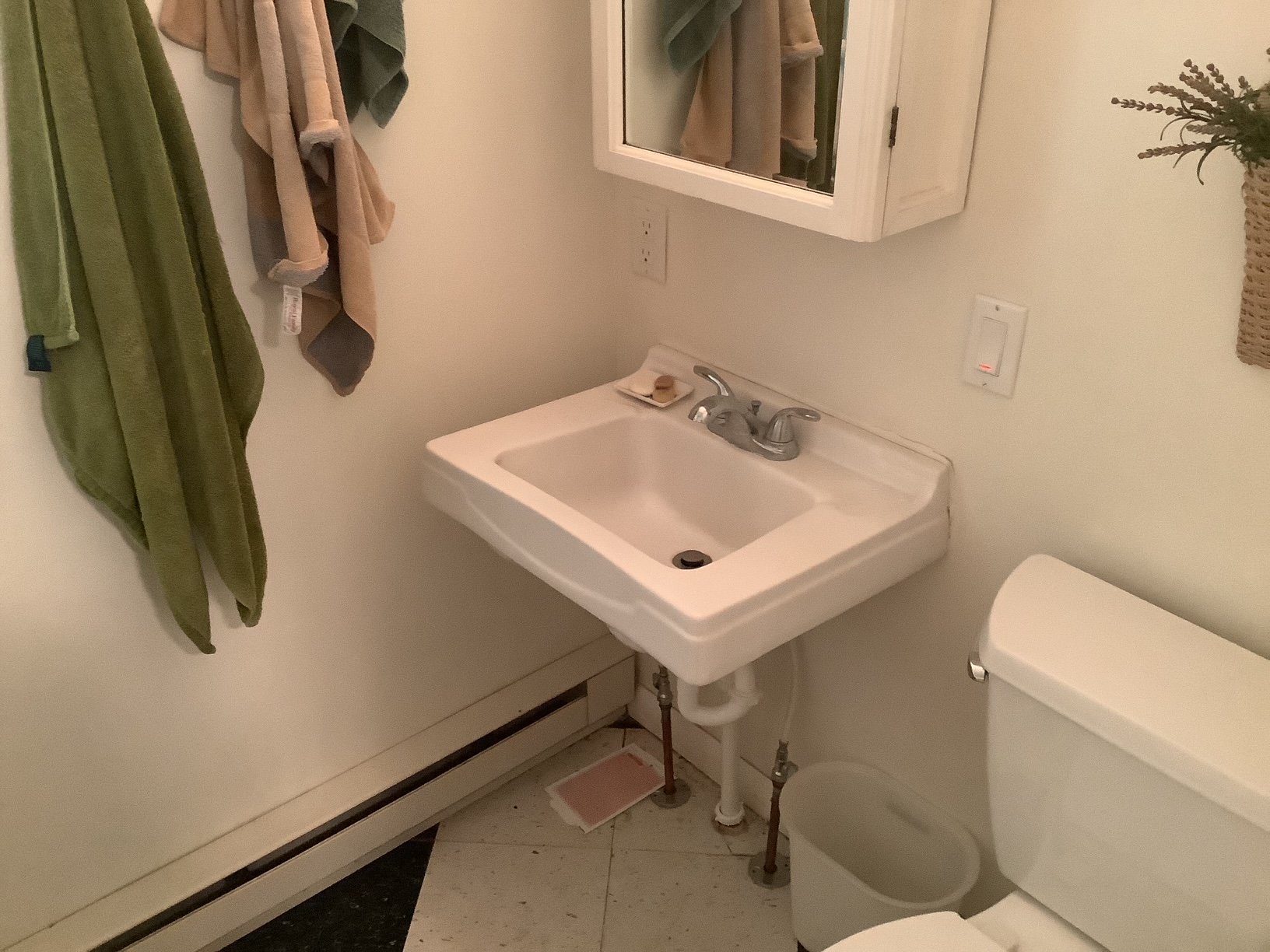 image5.jpeg