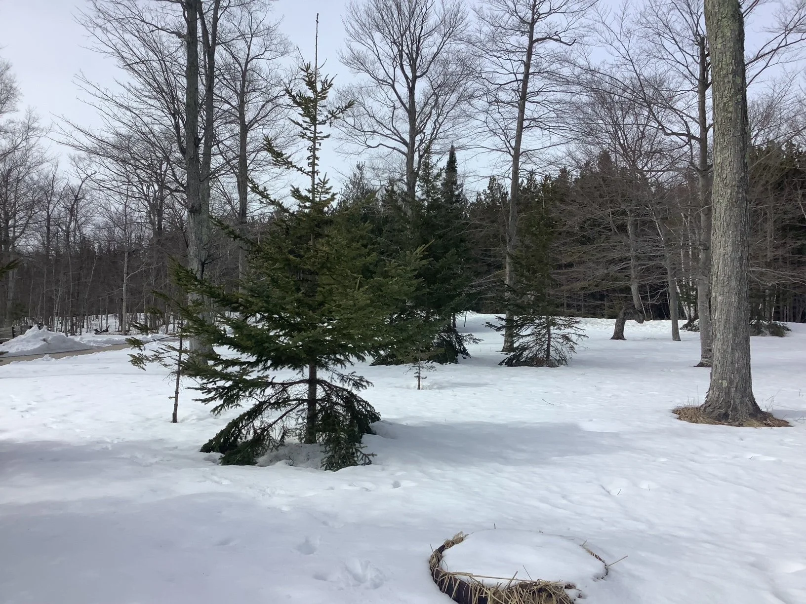 image8.jpeg