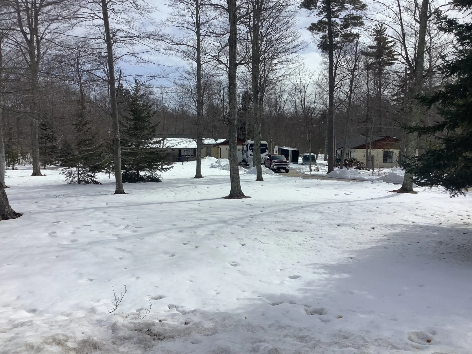 image5.jpeg