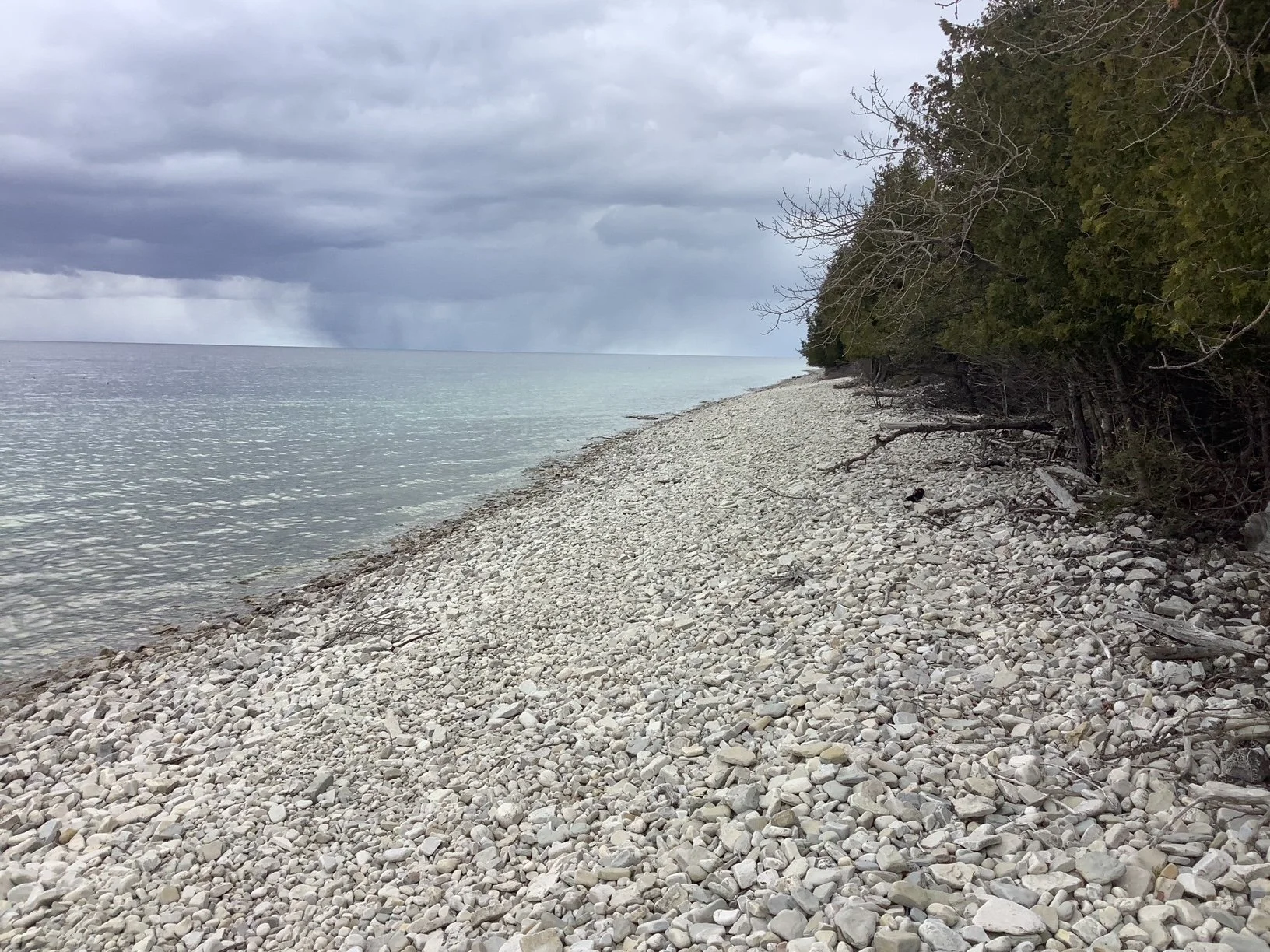 image7.jpeg