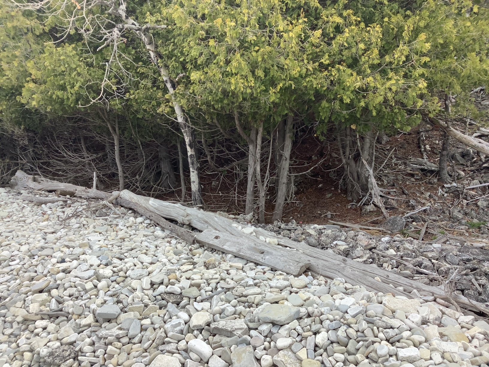 image2.jpeg