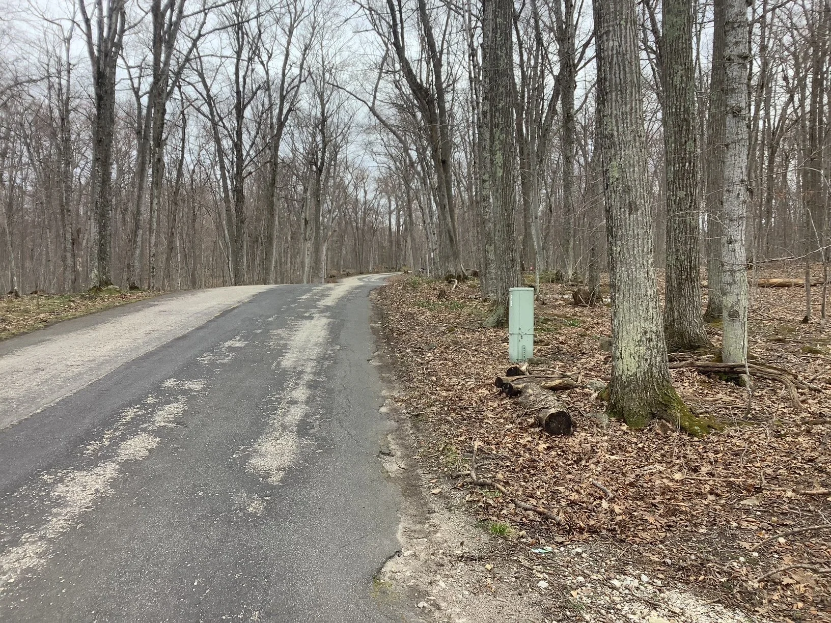 image4.jpeg