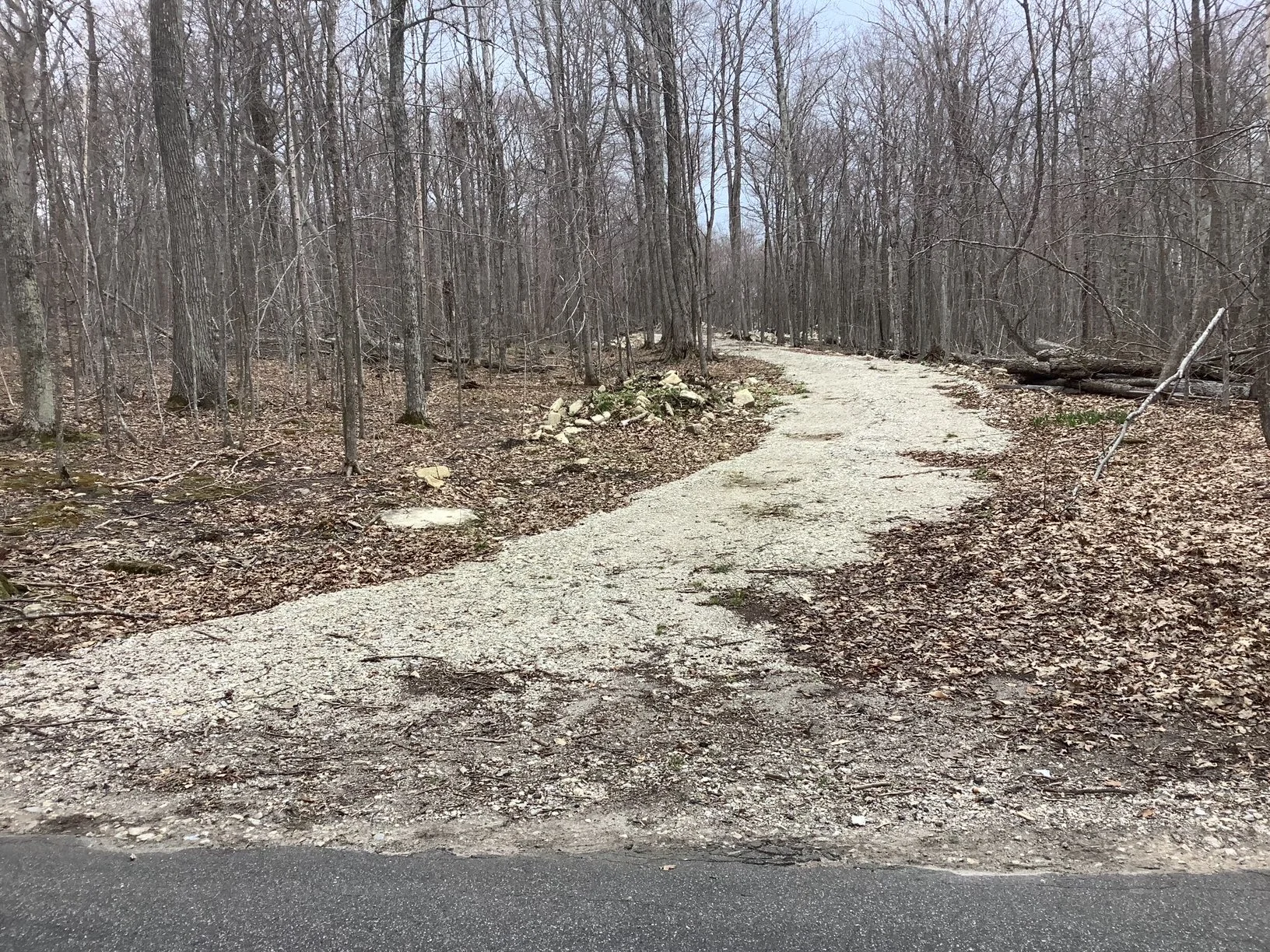 image6.jpeg