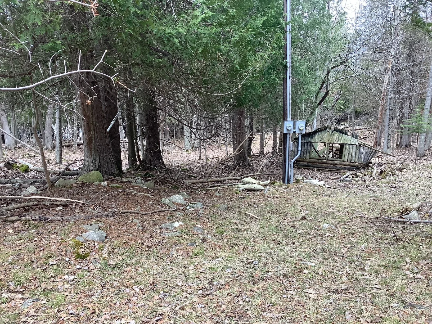 image4.jpeg