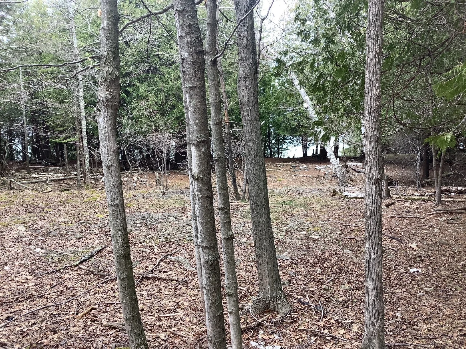 image3.jpeg