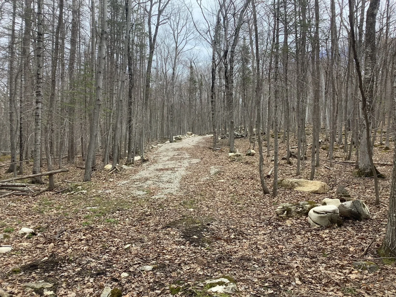 image5.jpeg