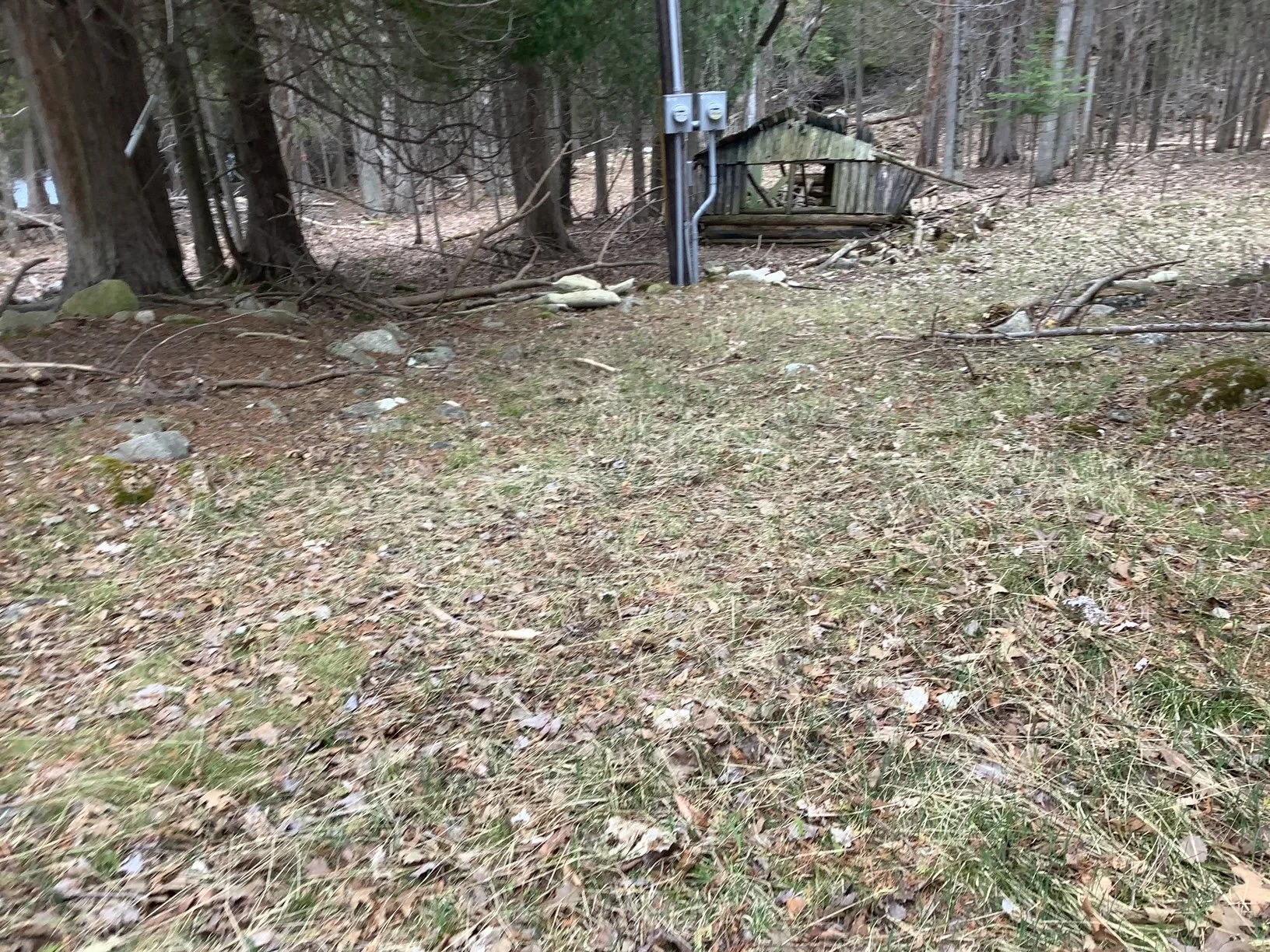 image7.jpeg
