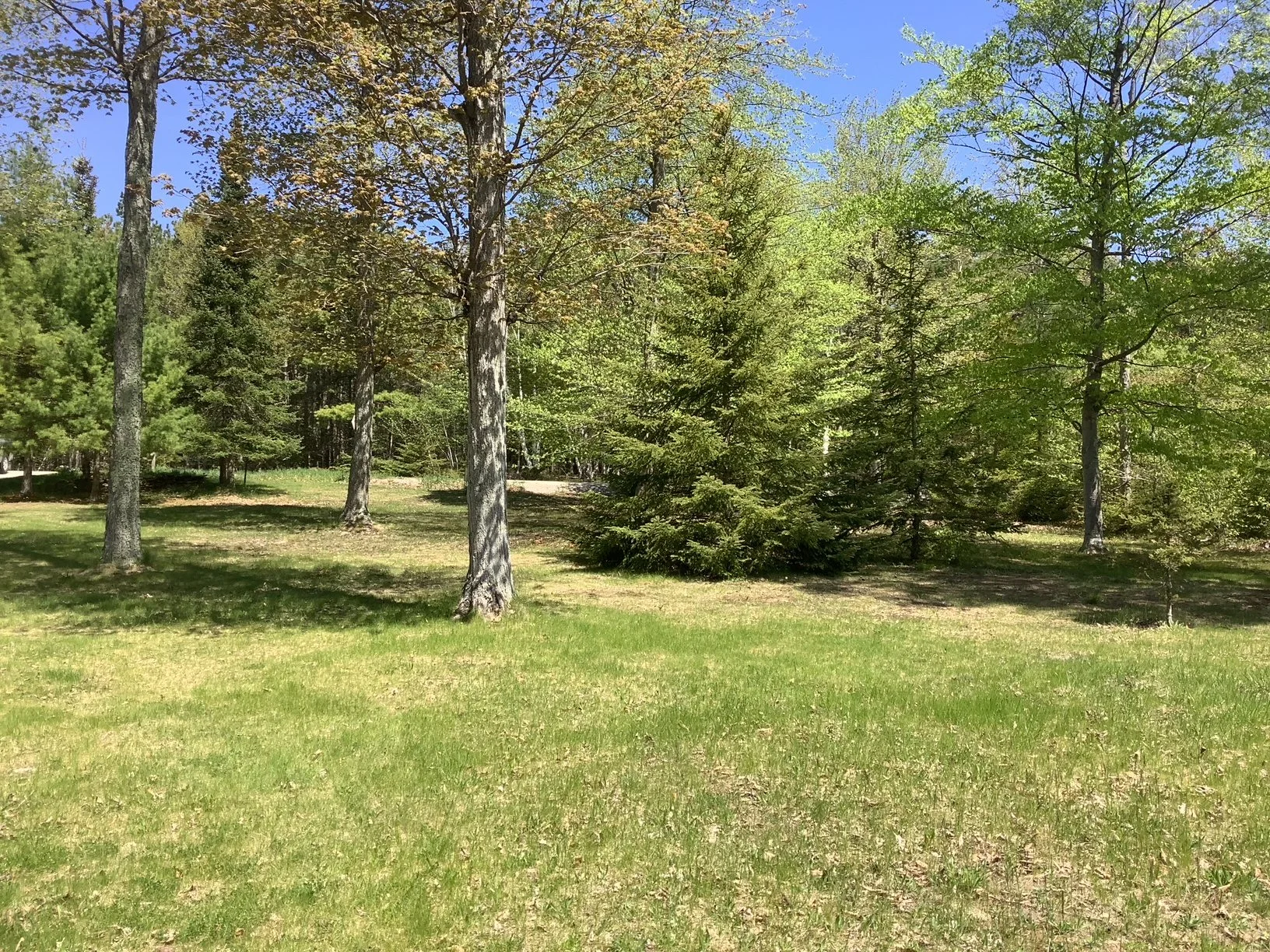 image4.jpeg