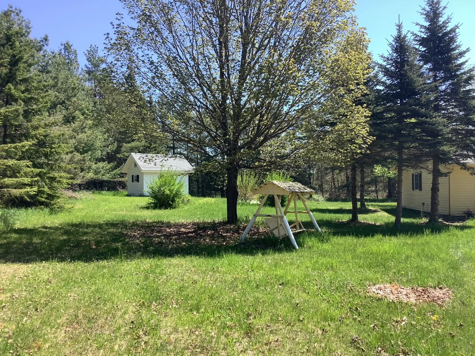 image5.jpeg
