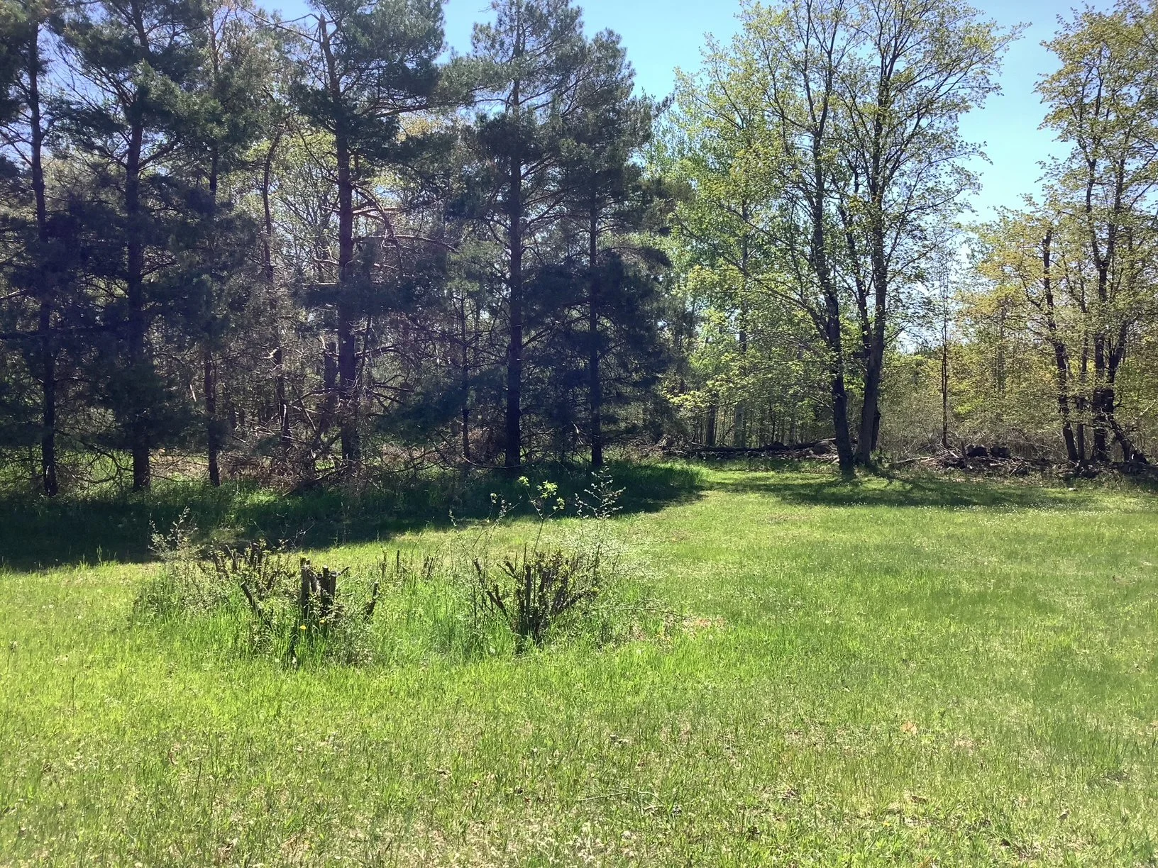 image5.jpeg