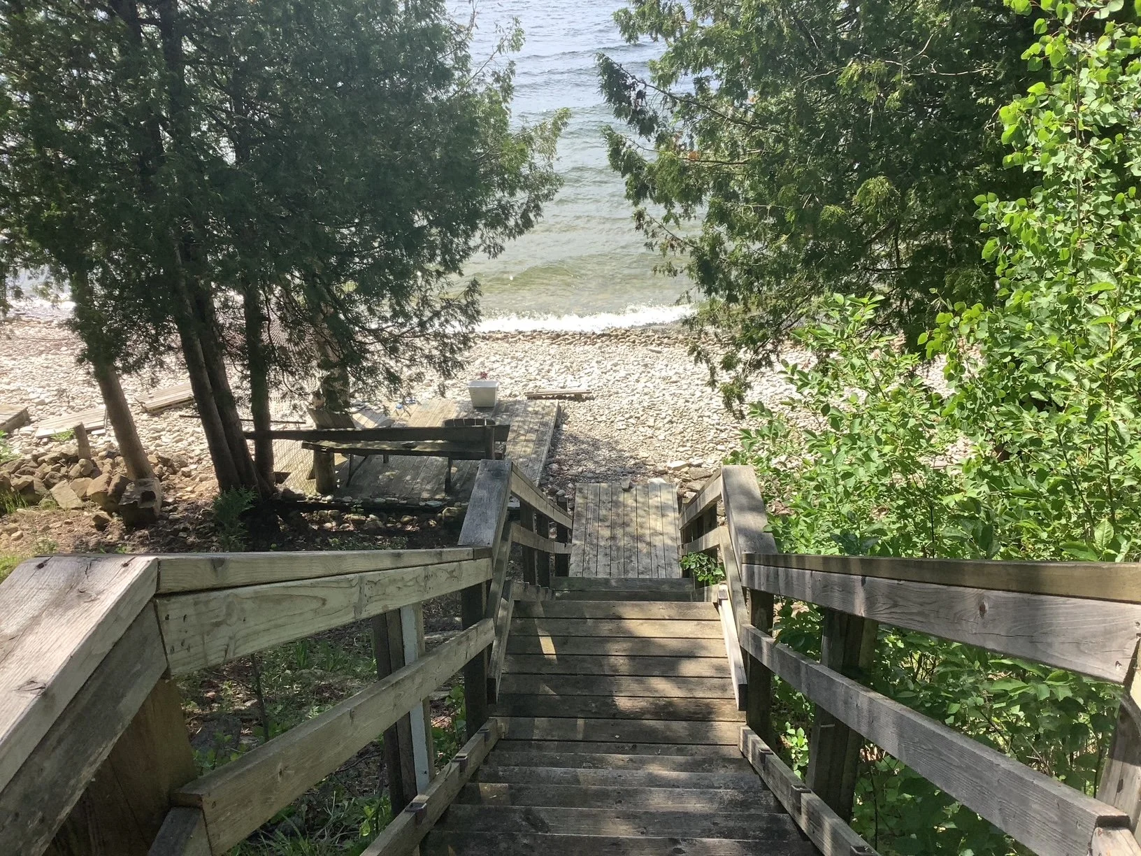 image5.jpeg