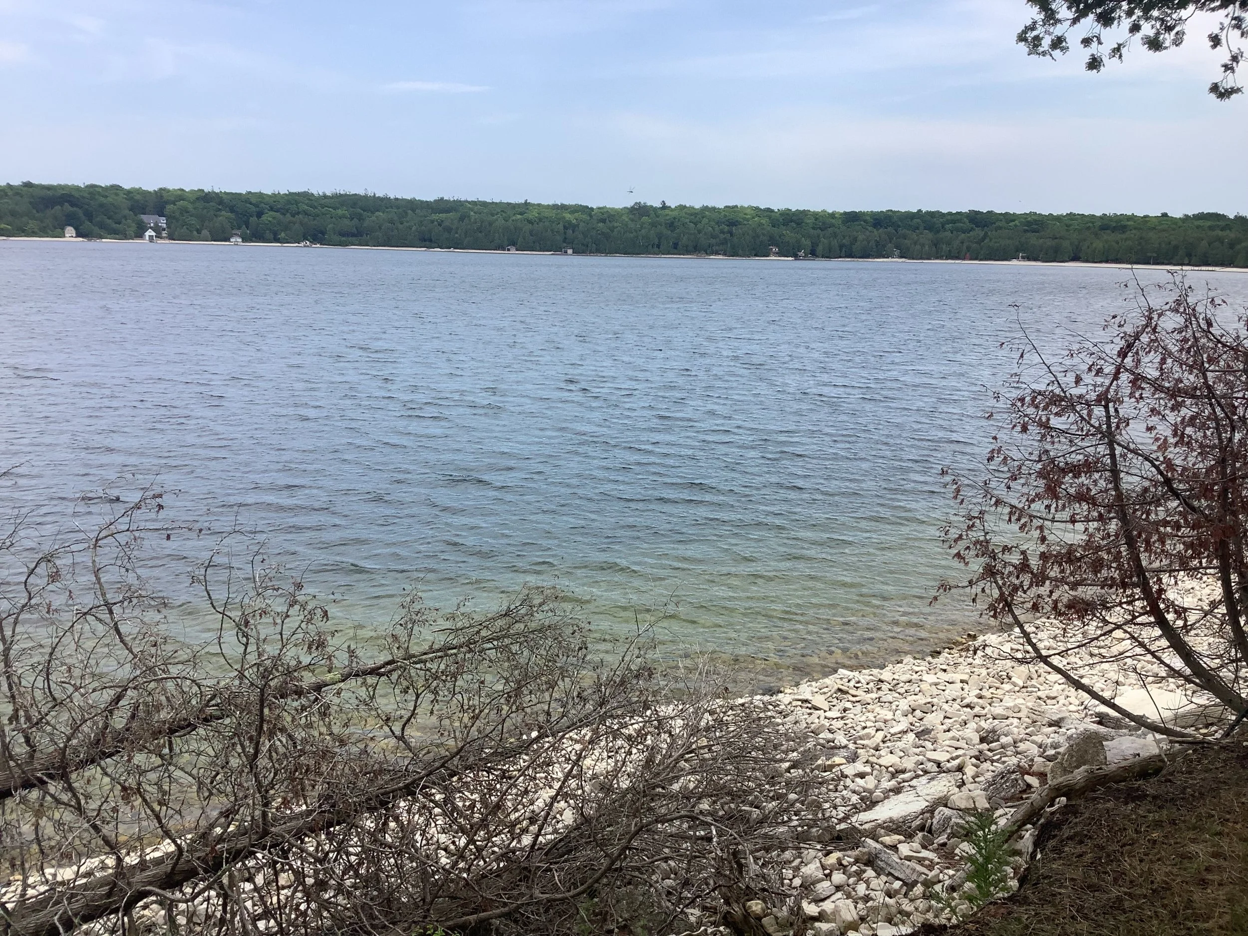 IMG_1029.jpeg