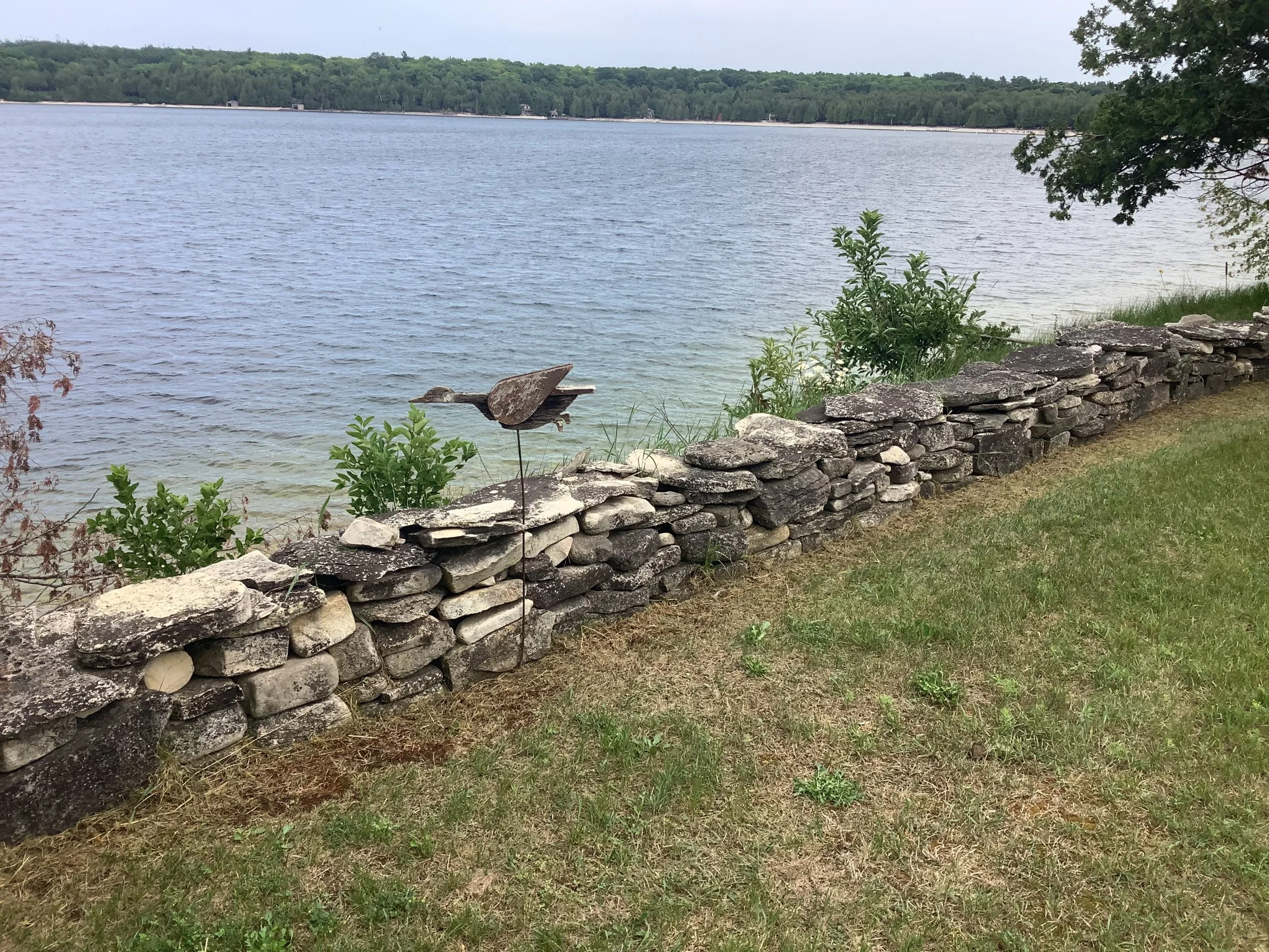 IMG_1031.jpeg