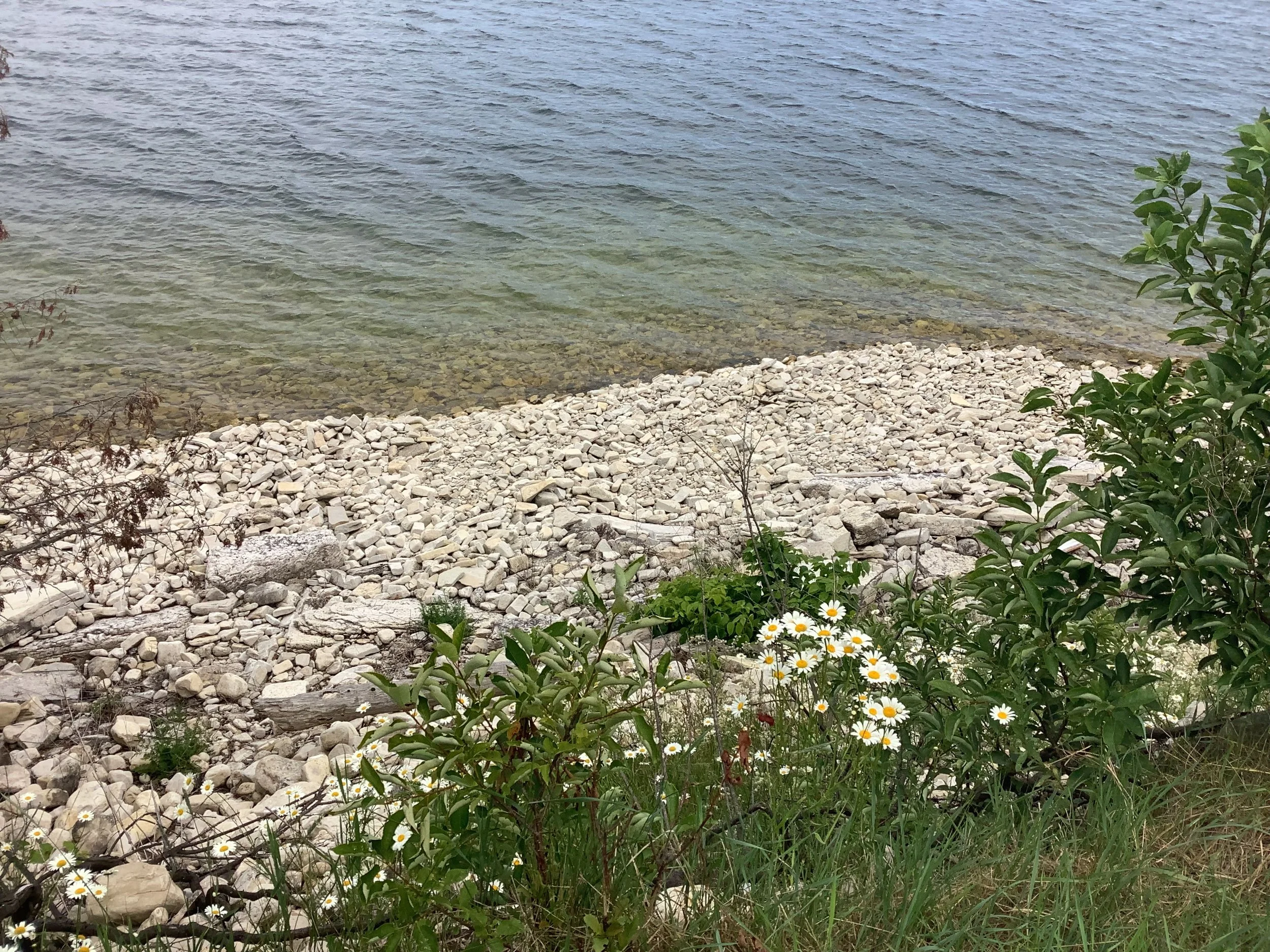 IMG_1032.jpeg