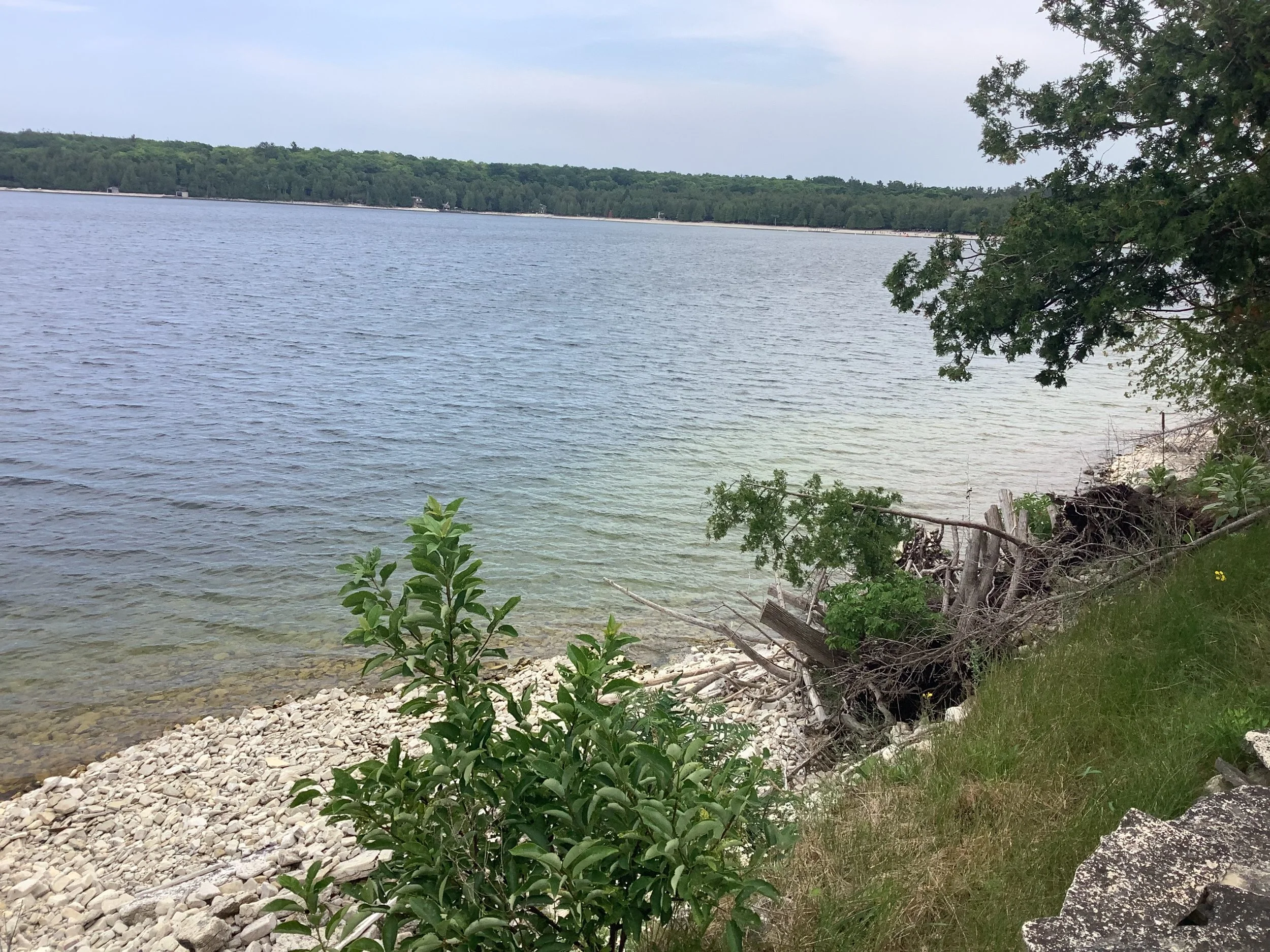 IMG_1033.jpeg