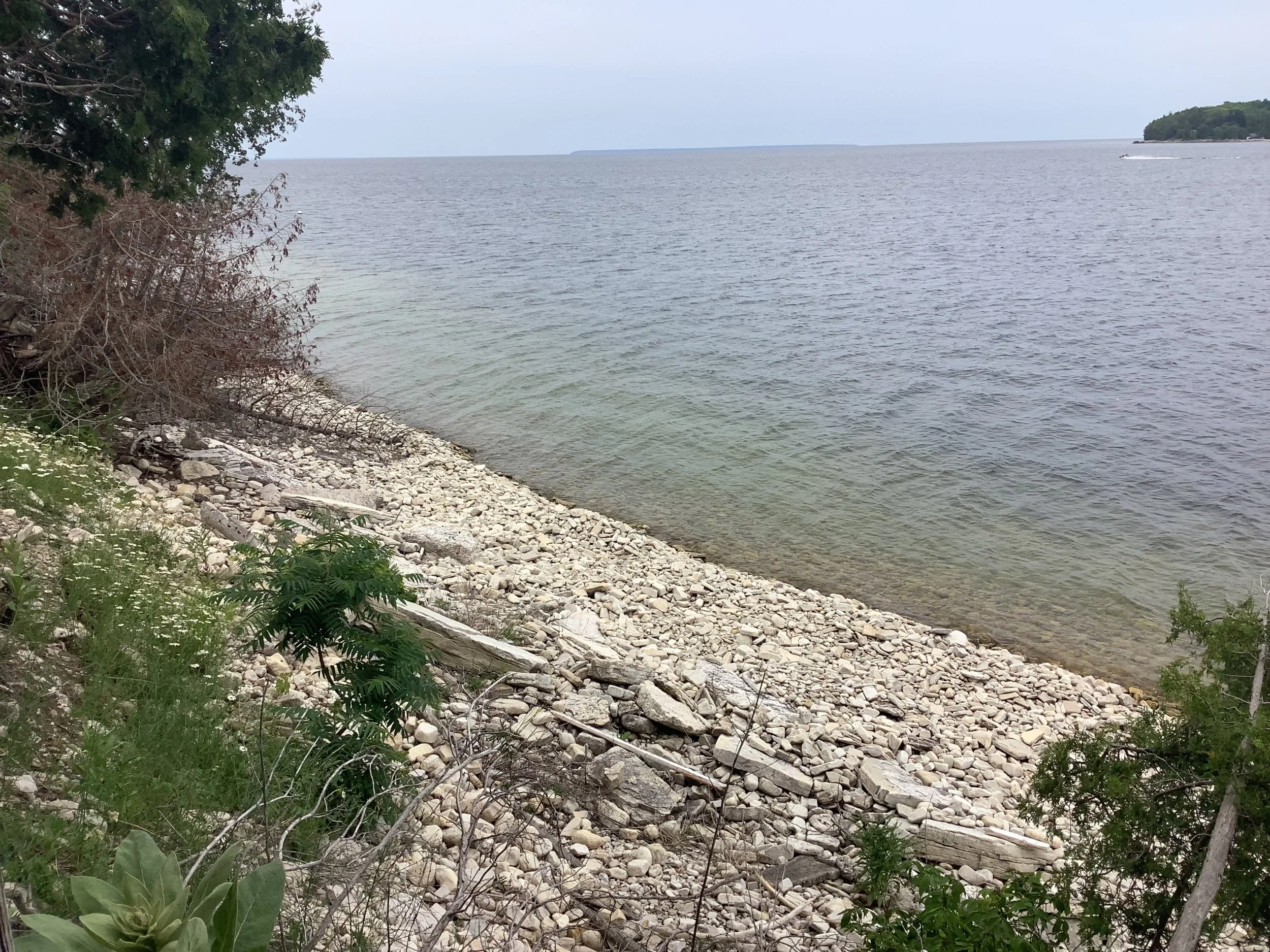 IMG_1036.jpeg