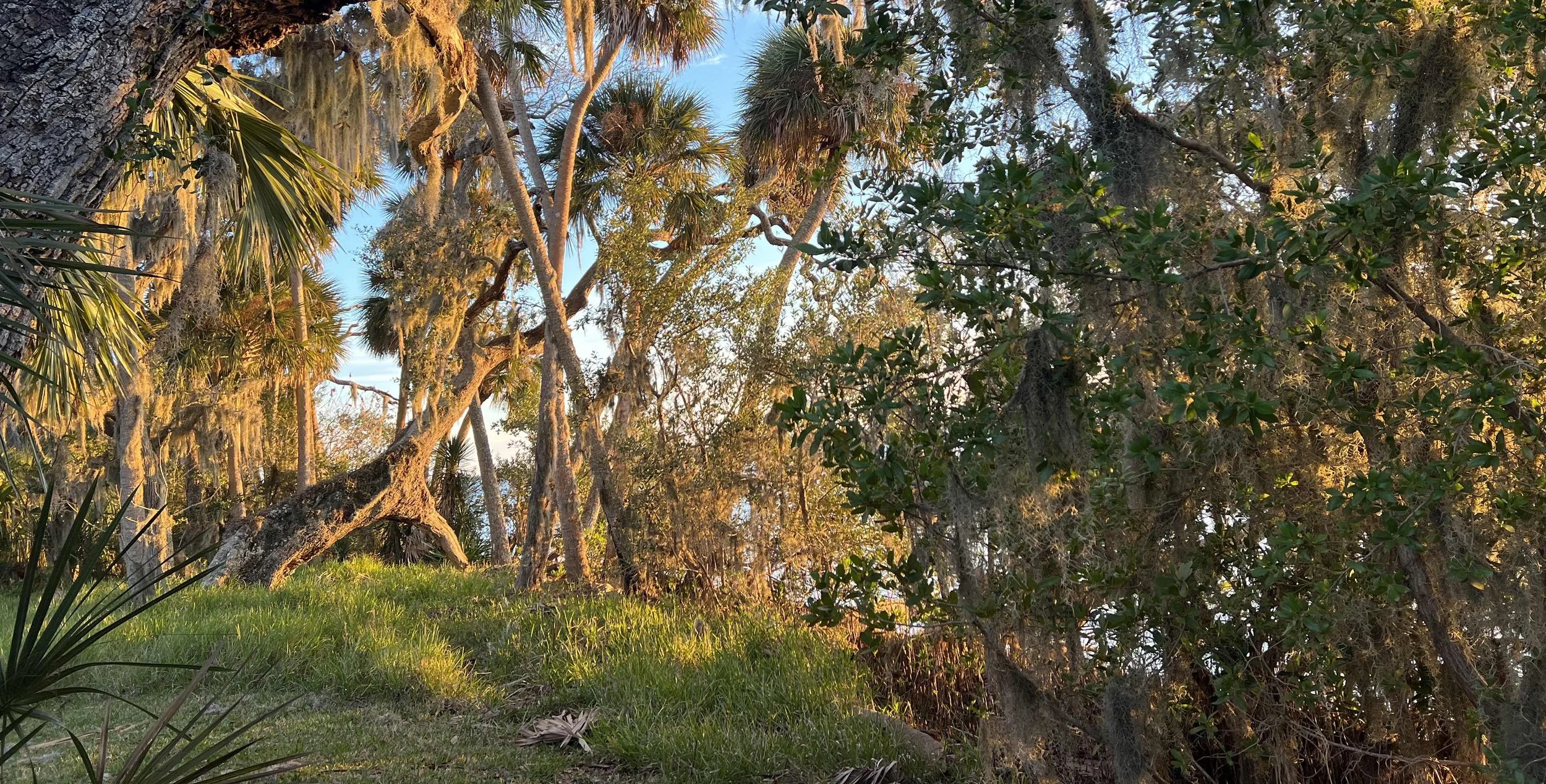 CANA/ACA Soundscape Field Station Residency - Week 01