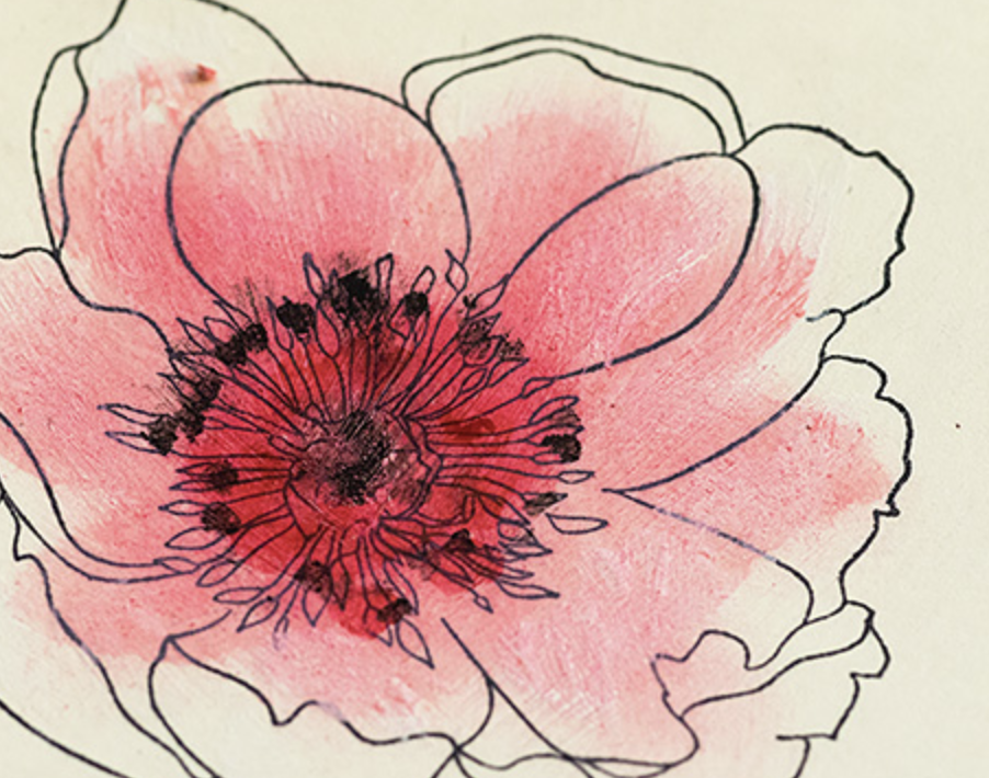 Screenshot 2025-02-21 at 18.56.14.png