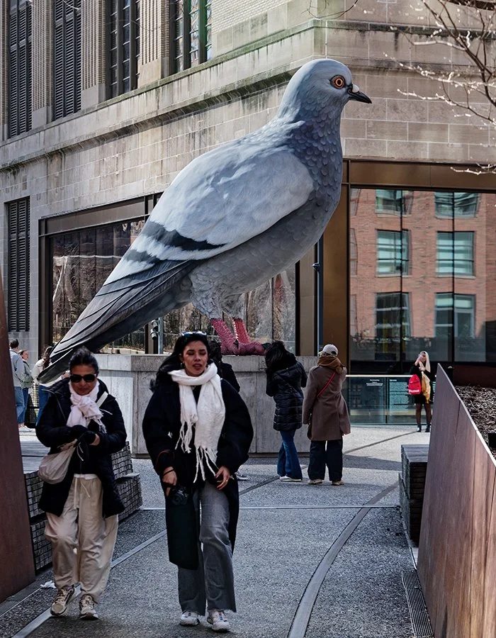 DSC_6138_DxO_DxOVPR.jpg