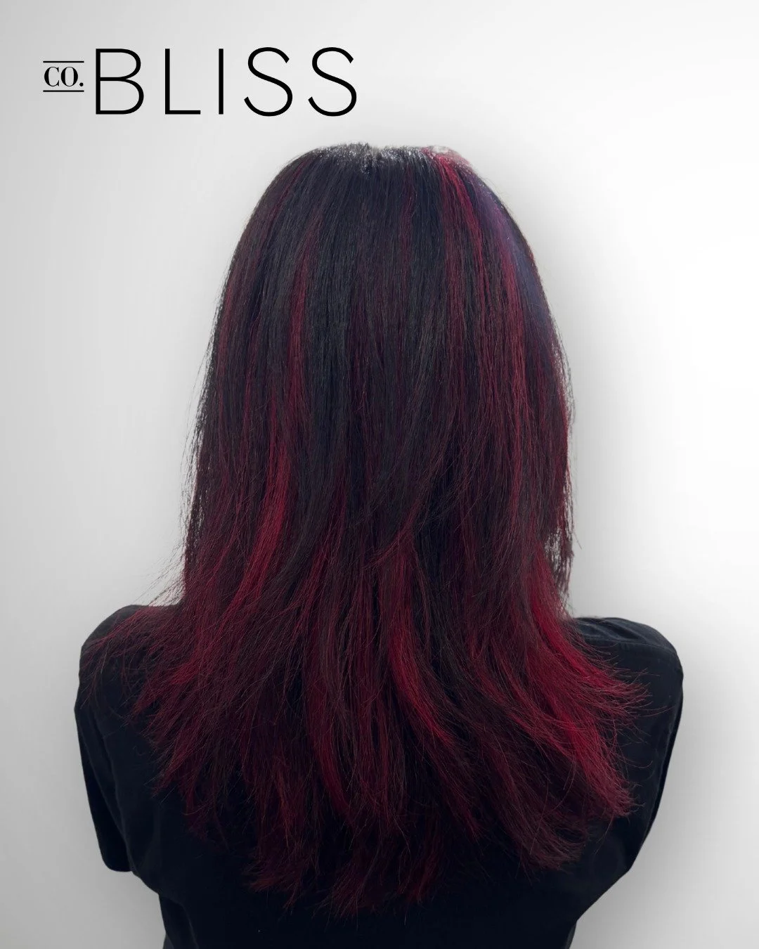 Fun color by Melanie 🍒

Swipe to see the before ➡️

Schedule your next appt online or by calling us at 331-472-4747

 #napervillehairstylist #CompanyBlissSalon #napervillehair #napervillehairsalon