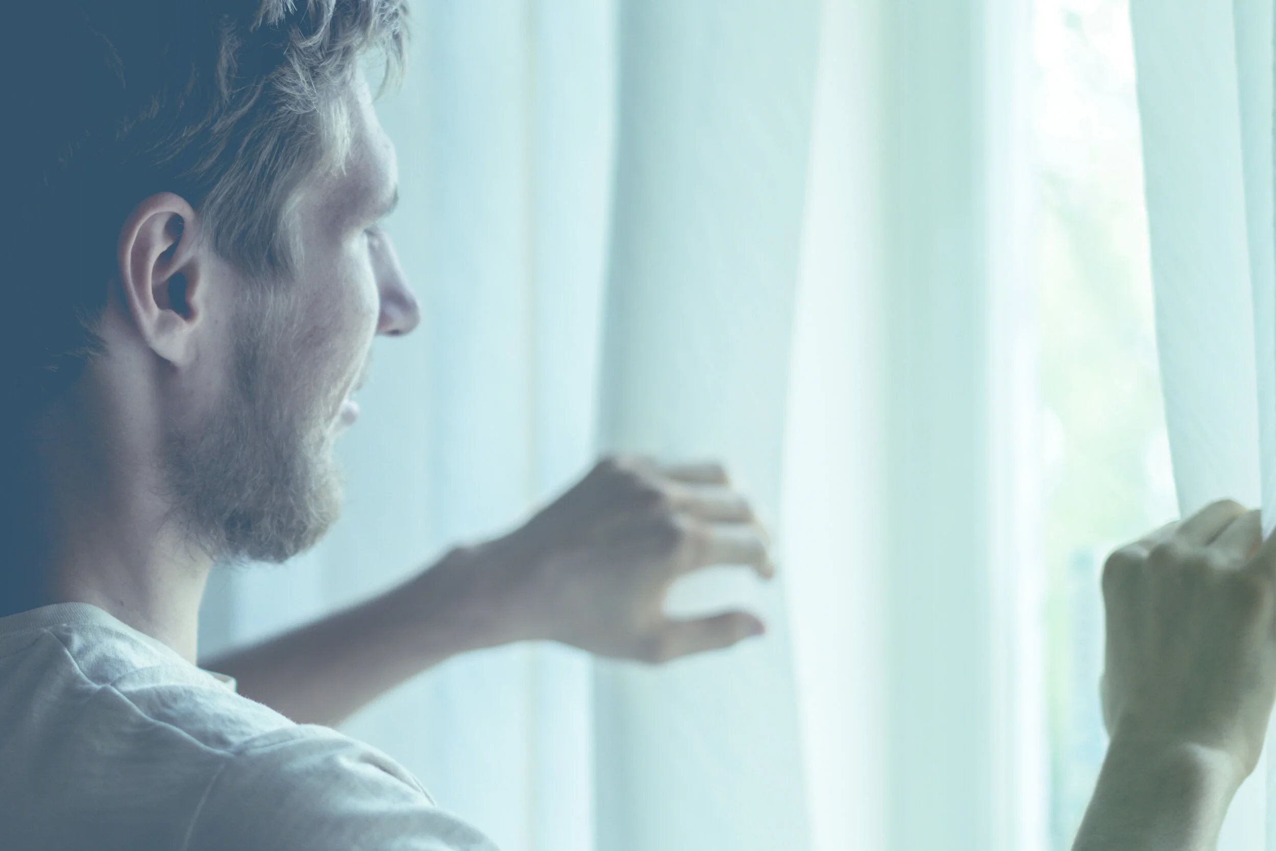 Chronotypes 101: Are You a Lion, Bear, Wolf, or Dolphin?