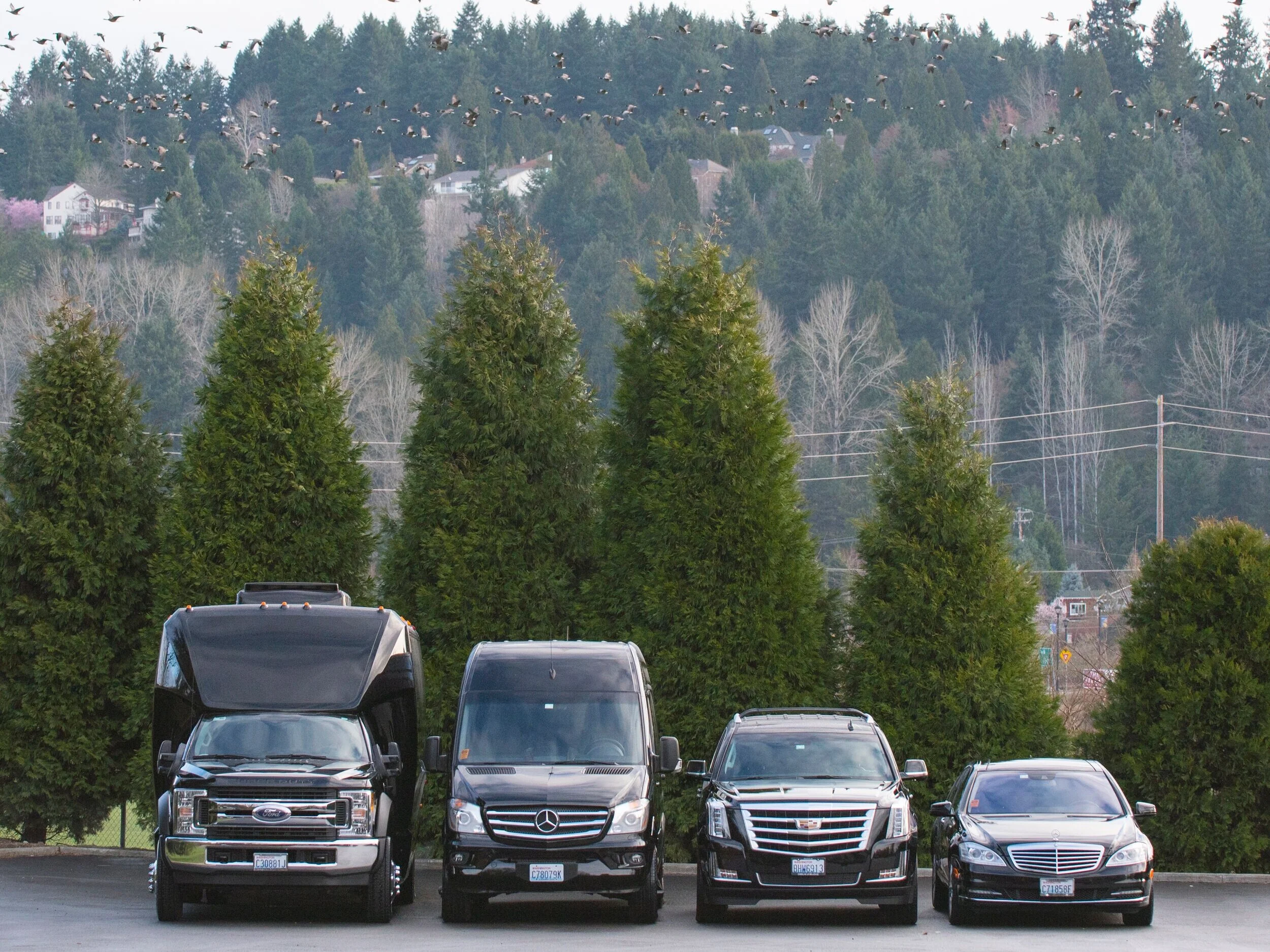 Butler Seattle Transportation Valet Rentals