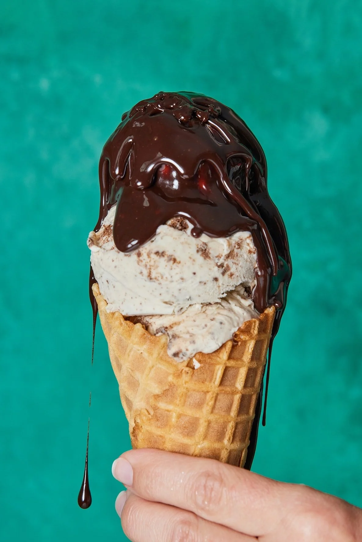 Willinglee-Product-Coop's-Original-Hot-Fudge-Mini-04.jpeg