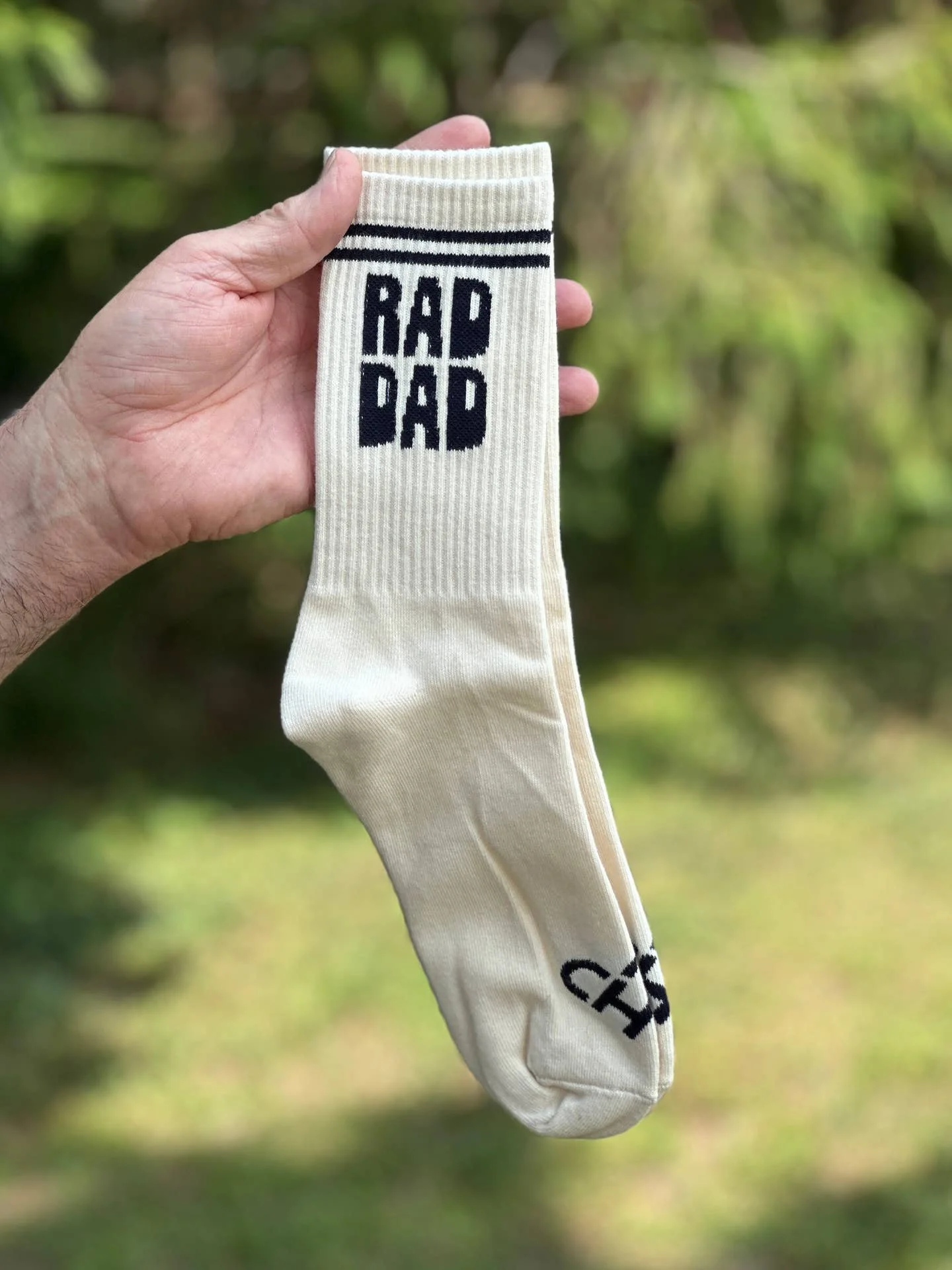 Willinglee-Product-The-Cold-Hearted-Collective-Crew-Socks-Rad-Dad-03.jpeg