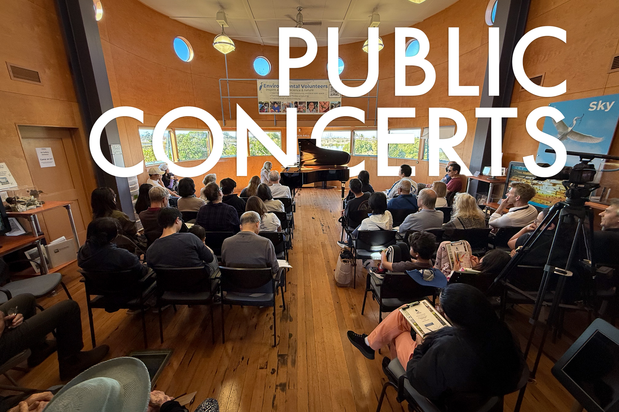 Public Concerts.png