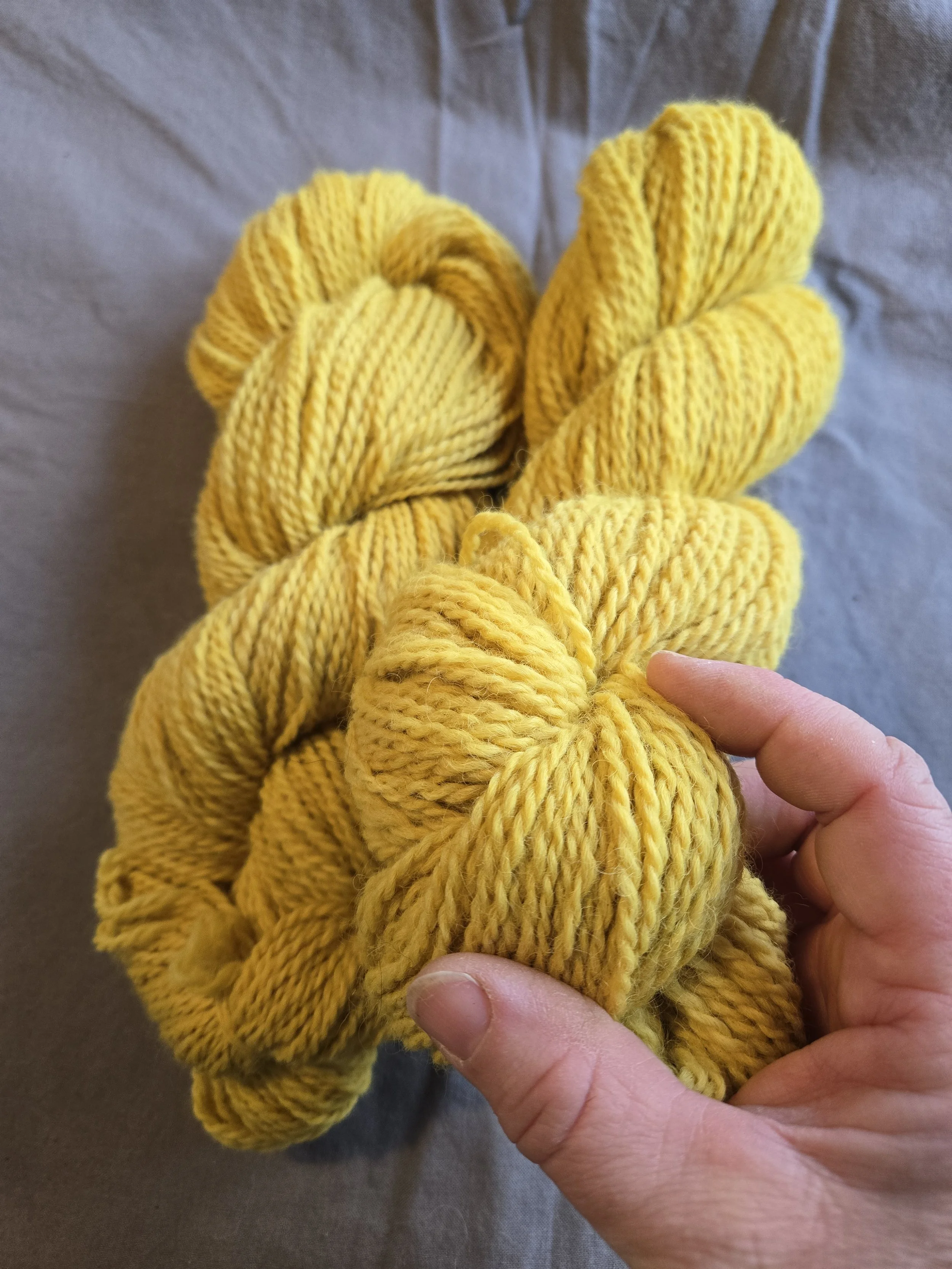 Goldenrod-dyed 2 ply worsted wool yarn - Mountain Heart Farm