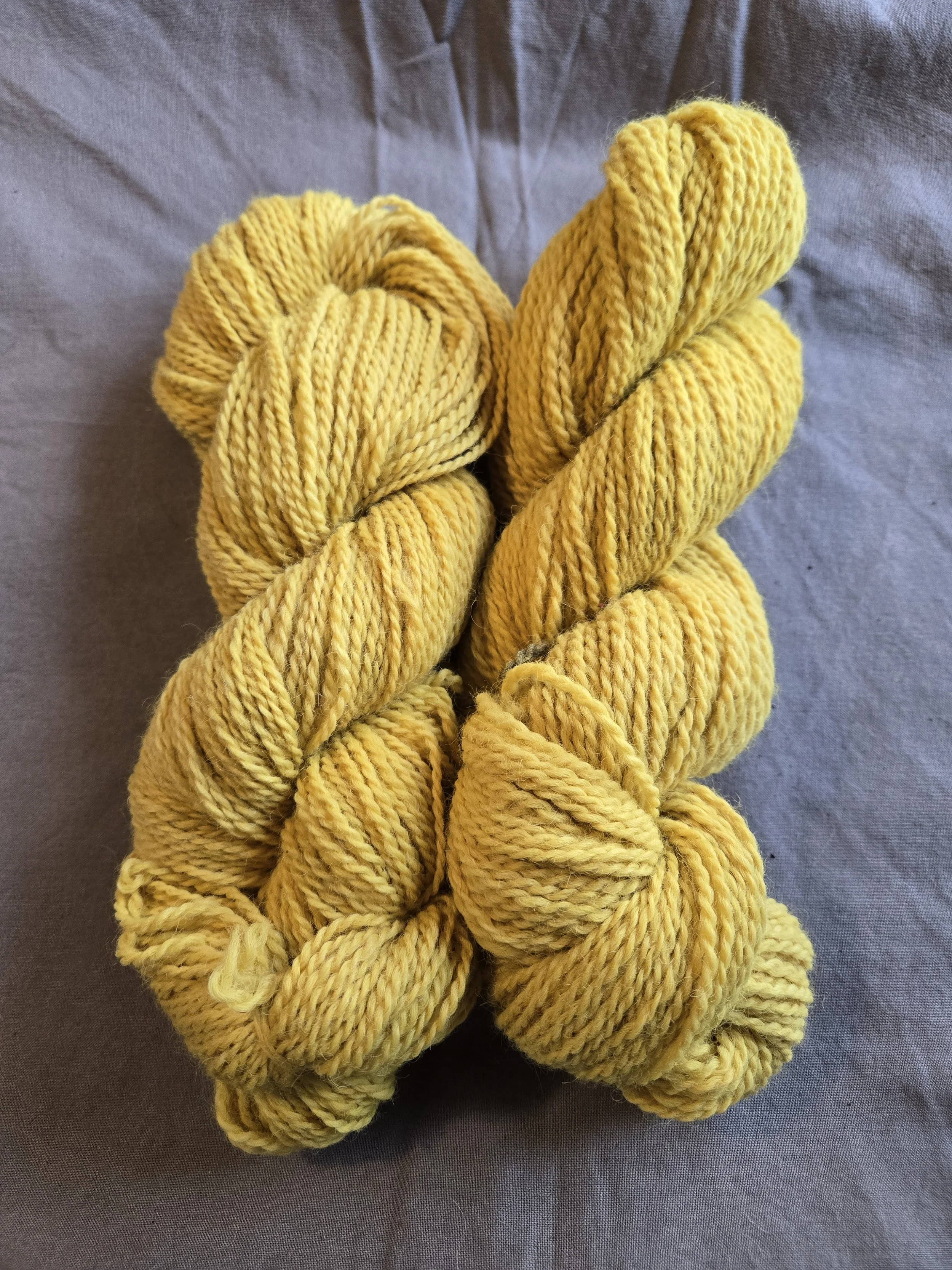 Goldenrod-dyed 2 ply worsted wool yarn - Mountain Heart Farm