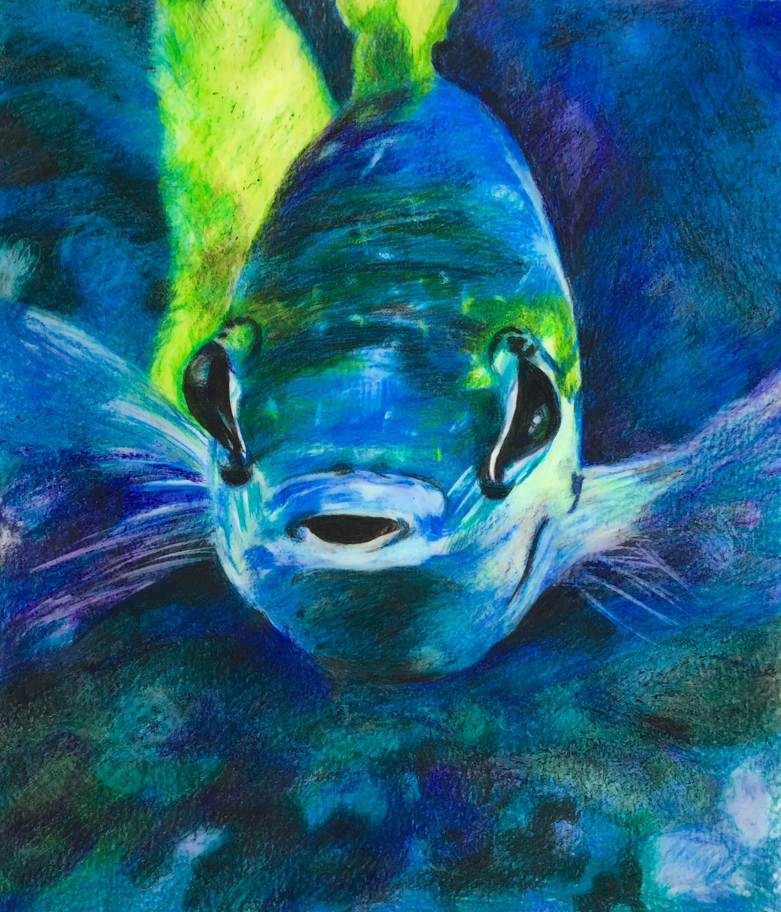 Here's looking at you !