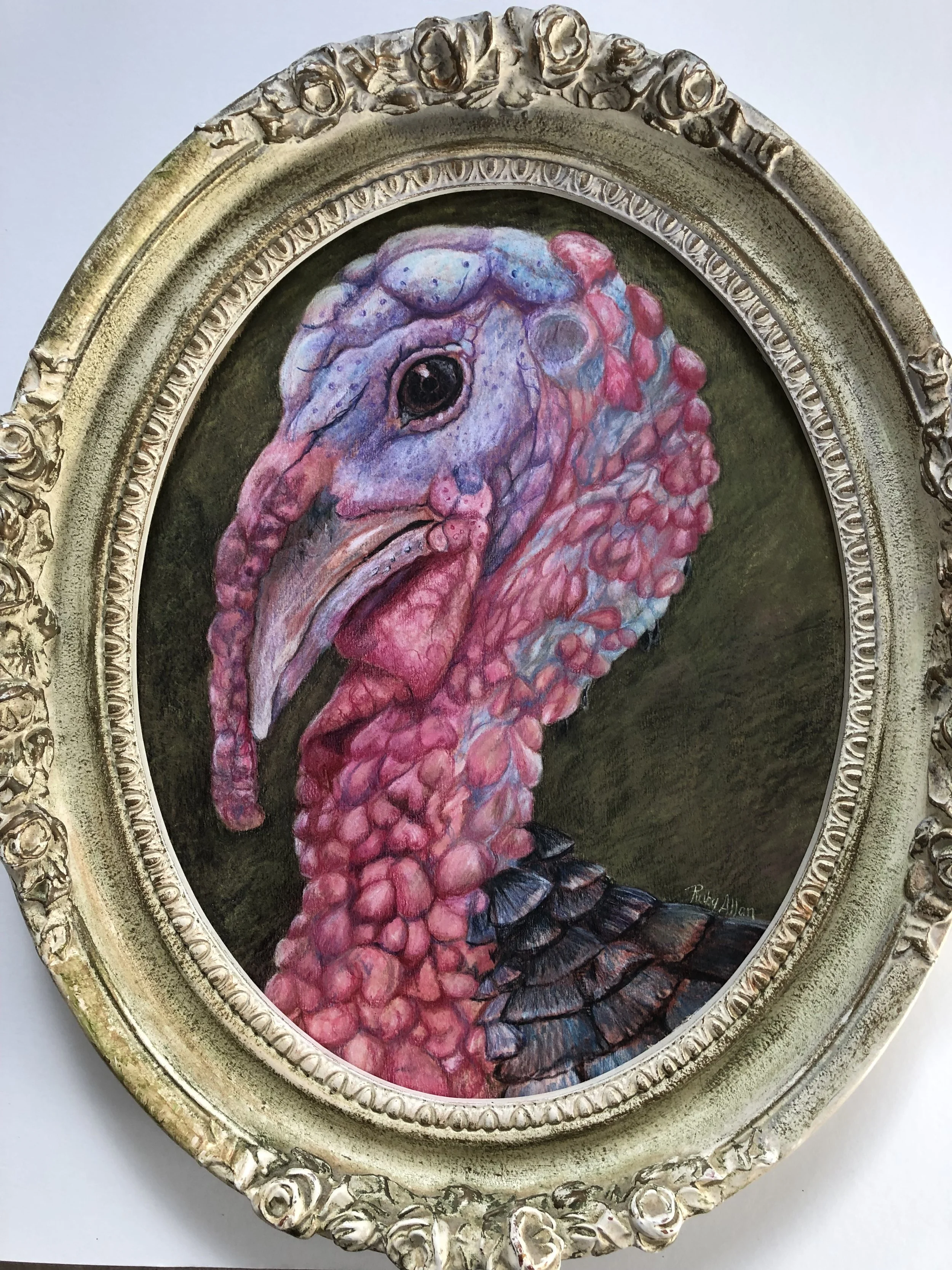 Tom the Turkey