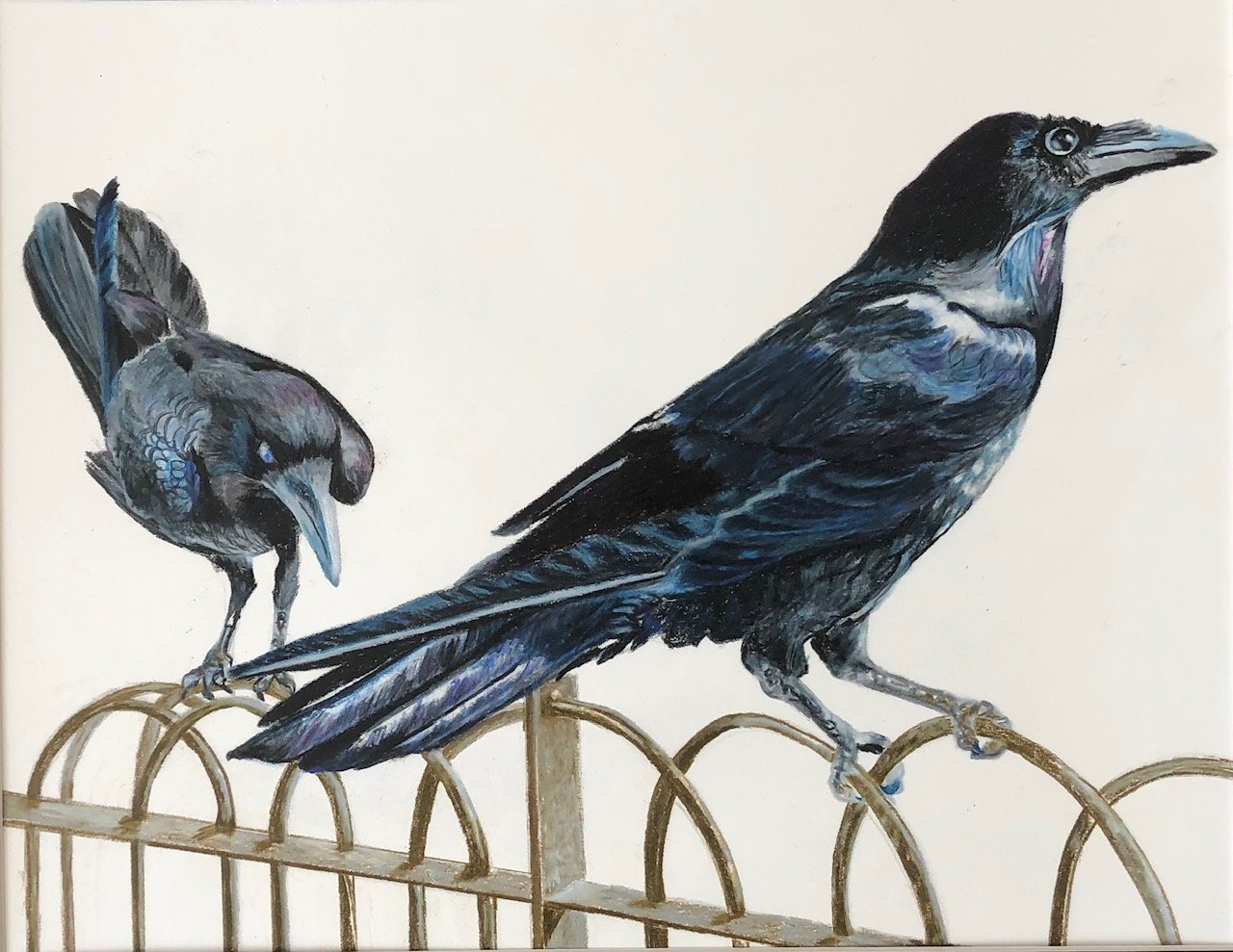 Ravens at the London Tower