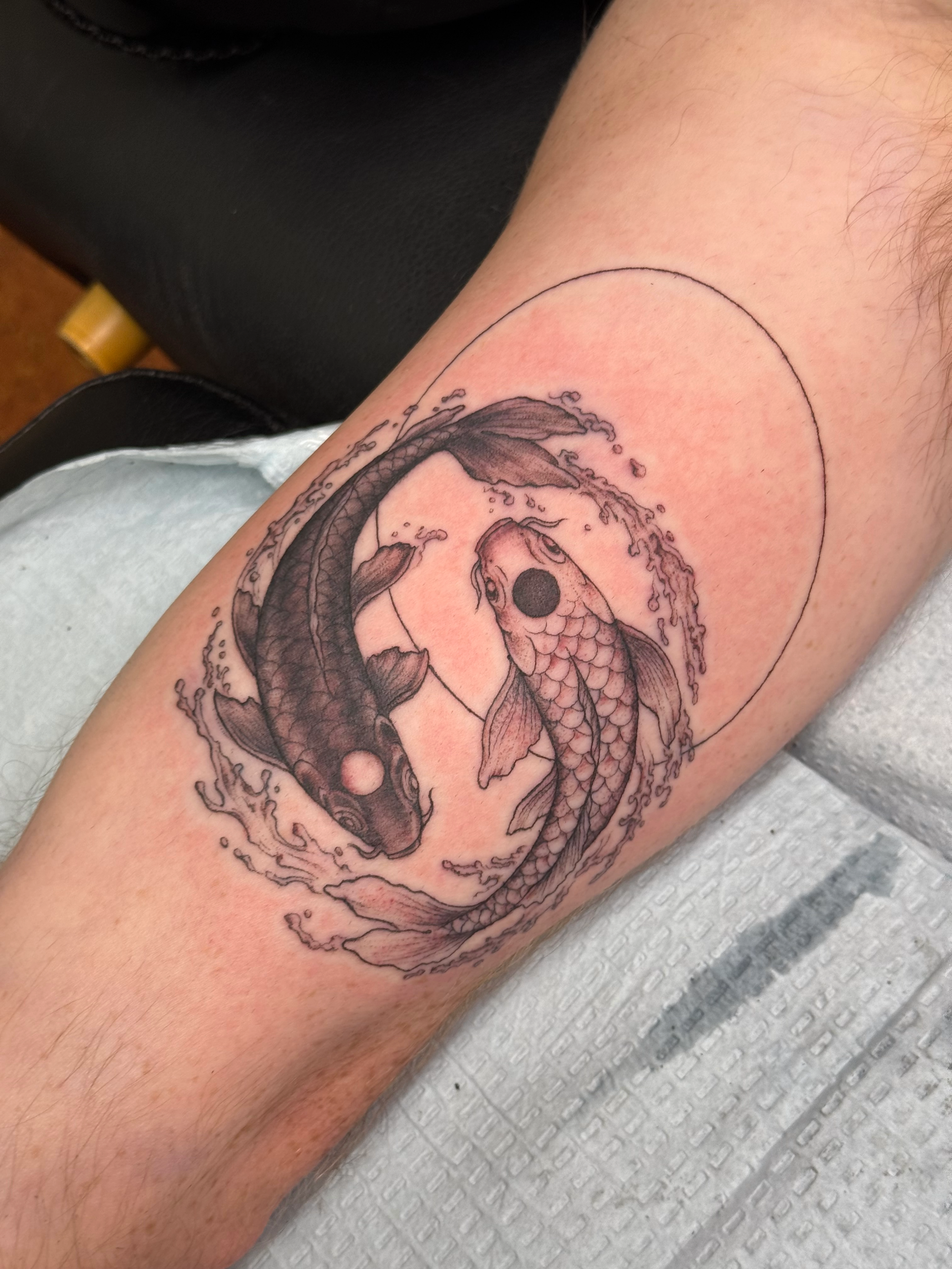 IMG_0785.png