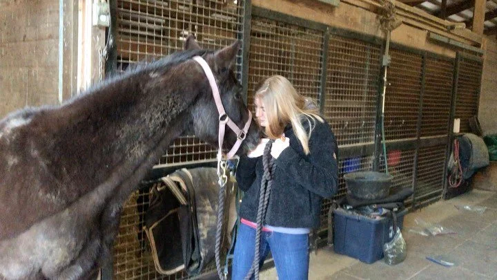 Since we’re not going anywhere, here’s to the ponies. It was great visiting this old soul on Saturday.