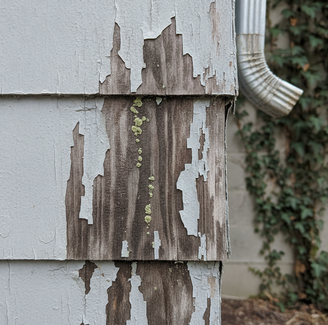 Best Time of Year to Paint a House Exterior in a Rainy Climate