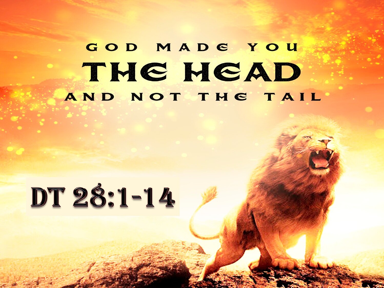 The head and not the tail Dt 28 - 5th July 2020