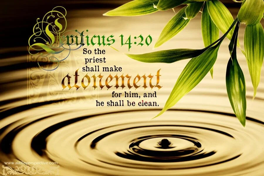 You shall be made clean