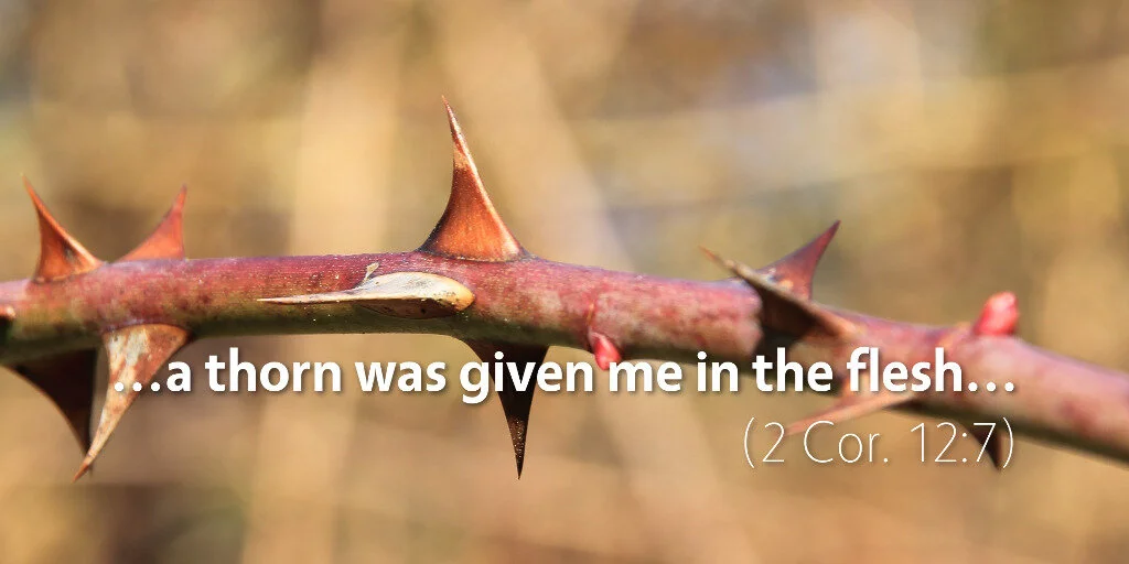 Thorn in my side