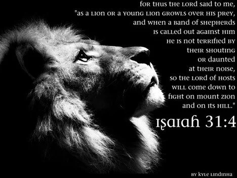 The love of the Lion