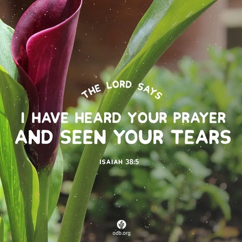 I have seen your tears...