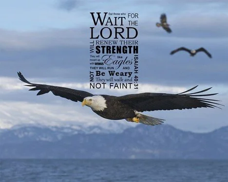 Rise on on eagles wings