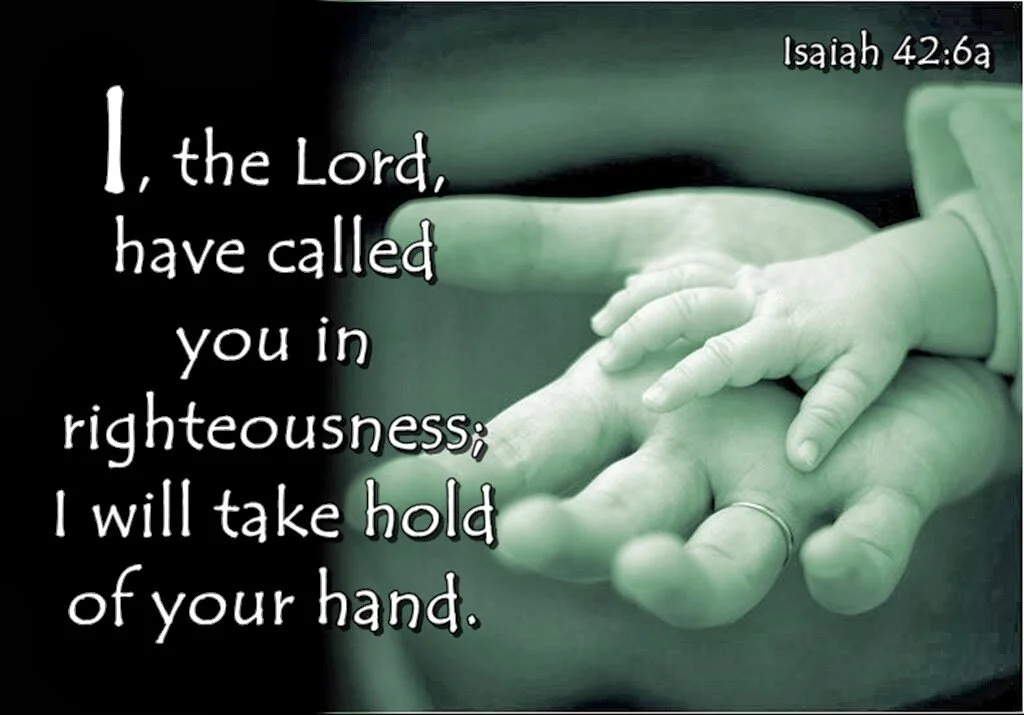 My Servant in whom I put my Spirit