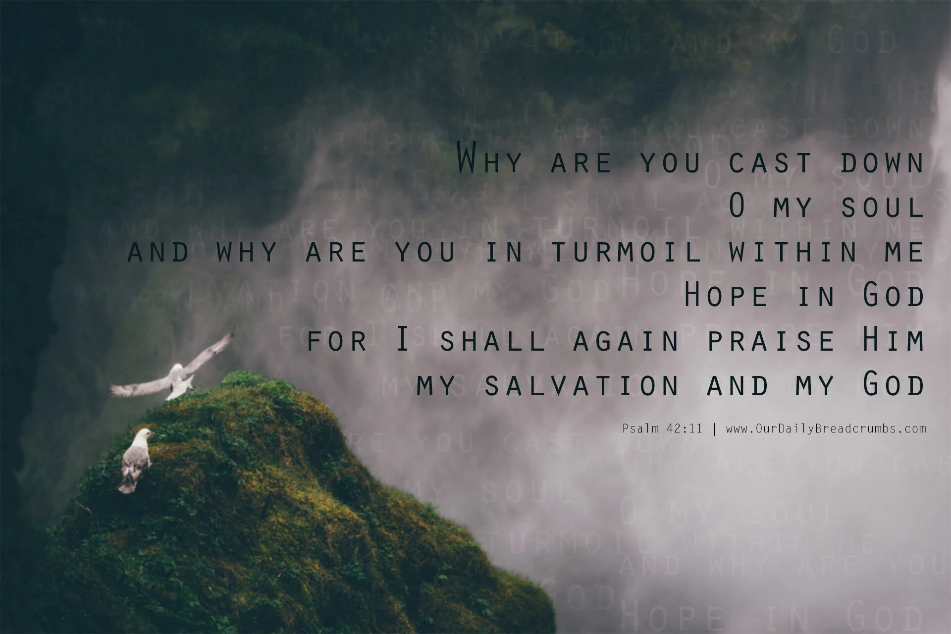 Why are you downcast oh my soul, hope in God!