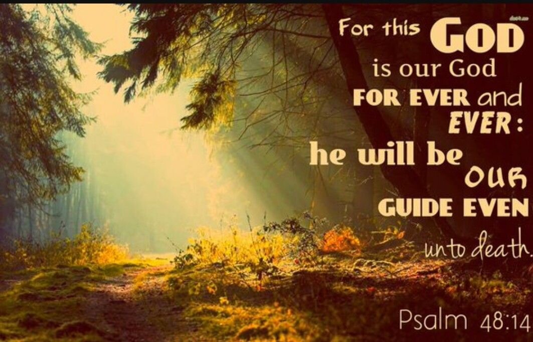 God is our Fortress, King and City