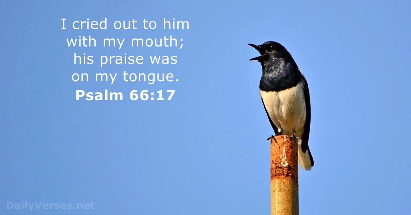 With my voice I shall praise Him