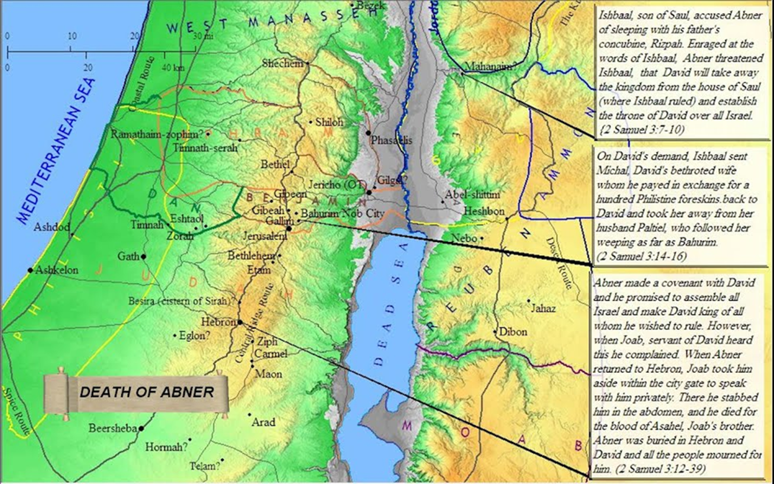 David rules over all Israel