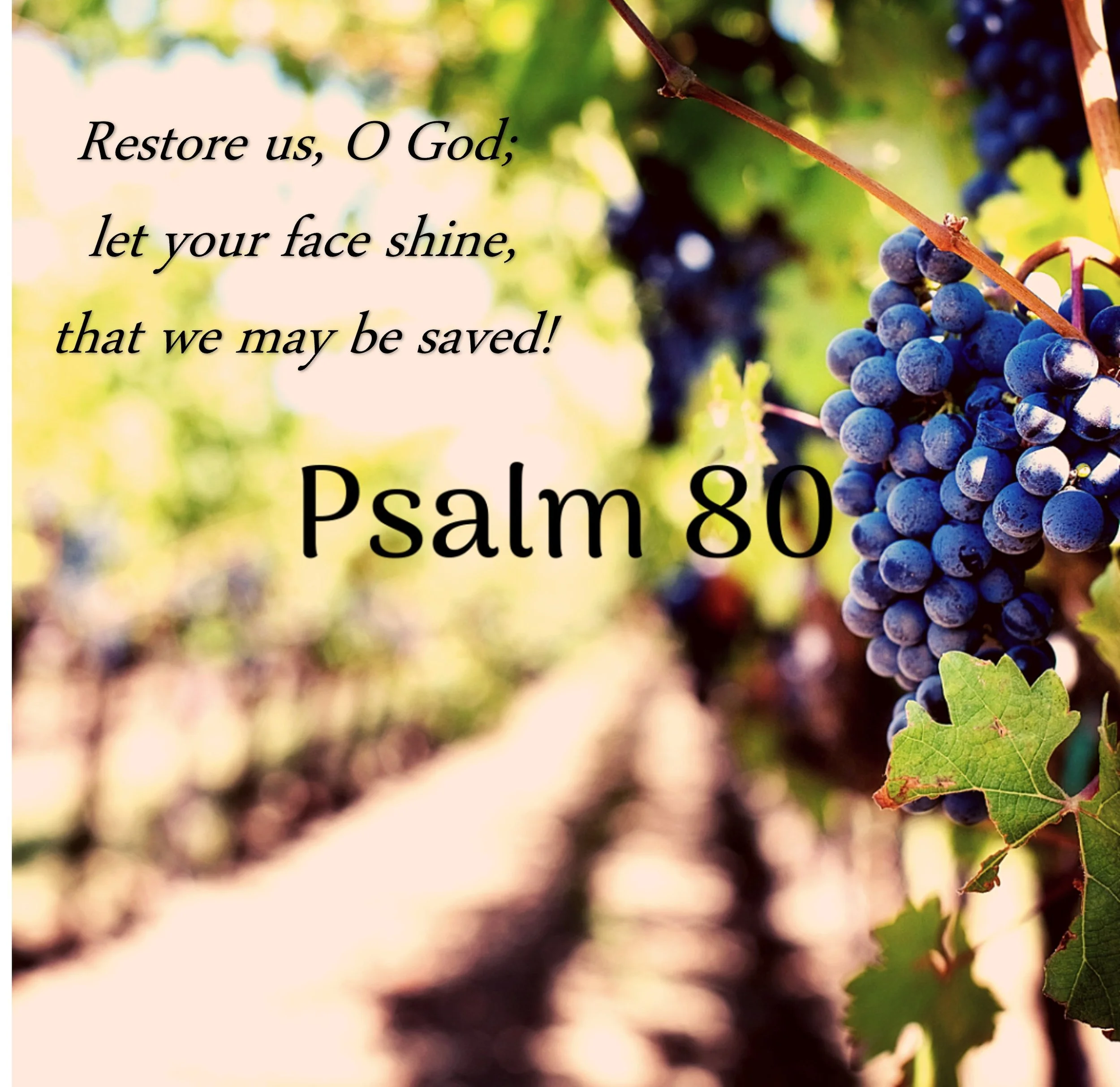 Restore us O God